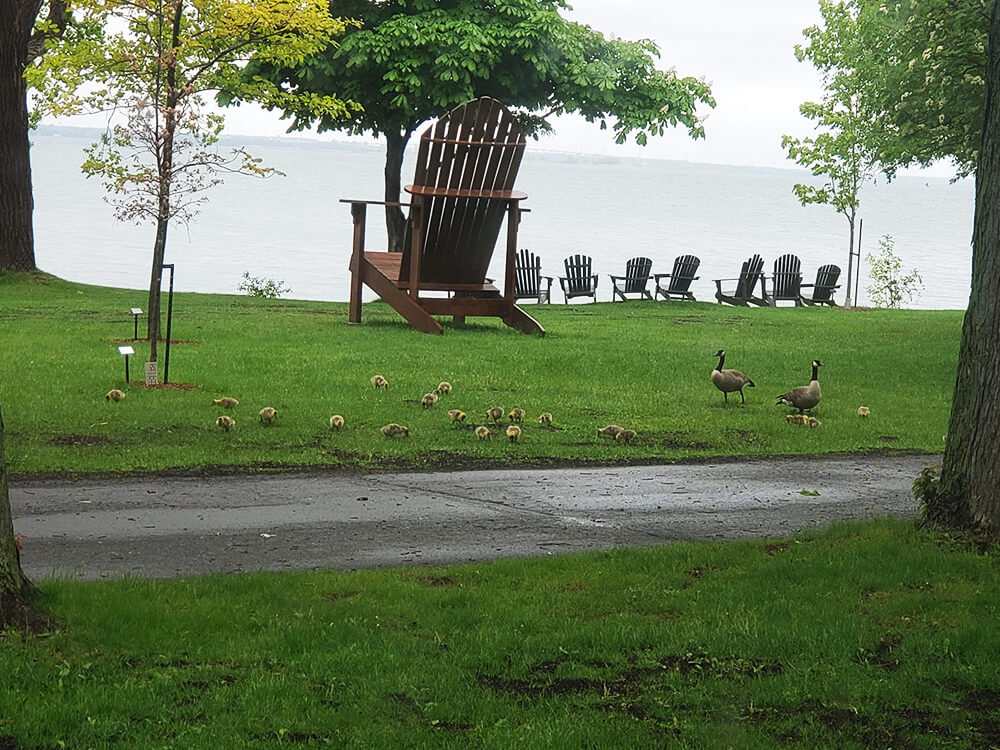 Image of the waterfront view at the Manoir d'Youville