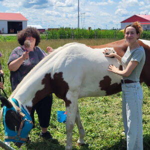 Our residents spending a day with some beautiful hourses